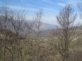 M.Cafaggio 001 (31)