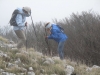 3 novembre 2013 - M. San Vicino da Pian dell’Elmo
