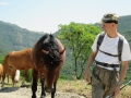 Coldipeccio   (17)