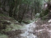 dscf8573