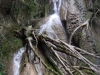 dscf8585
