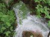 dscf8597