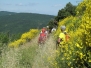 monte Rotondo (Morello) - 23 Giugno 2013