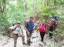 TRAVERSATA DA SECCHIANO A CAGLI PER IL M. PETRANO – Mercoledì 27 agosto 2014