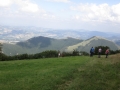 M._PETRANO_(53)
