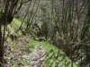 2013_04210033