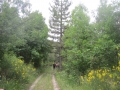 valle Scappuccia (9)